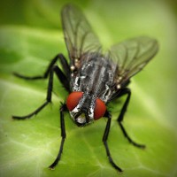 /album/cool-text/photolia-a01-jpg/