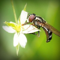 /album/cool-text/photolia-a02-jpg/