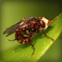 /album/cool-text/photolia-a06-jpg/