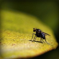 /album/cool-text/photolia-a07-jpg/