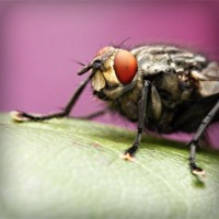 /album/cool-text/photolia-a08-jpg/